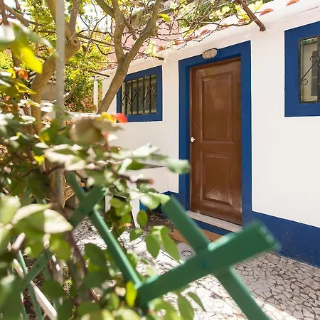 Lemon Tree House *